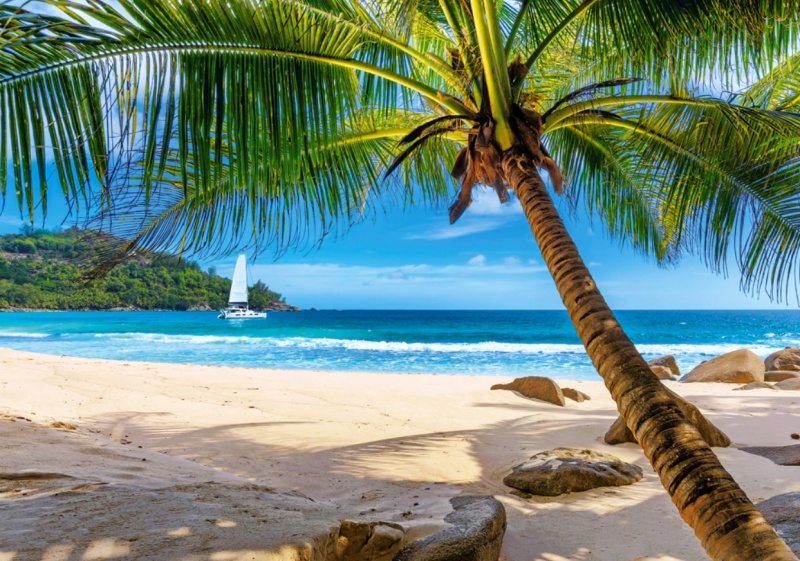 Castorland Dovolená na Seychelách 500 dílků