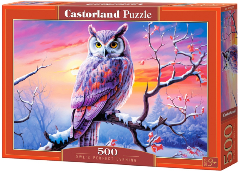 Castorland Castor Dokonalý večer se sovou 500 dílků