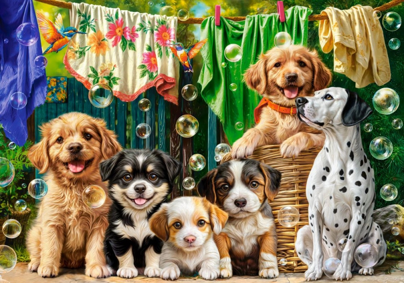 Castorland puzzle štěňata, prádlo a ptačí dovádění 500 dílků