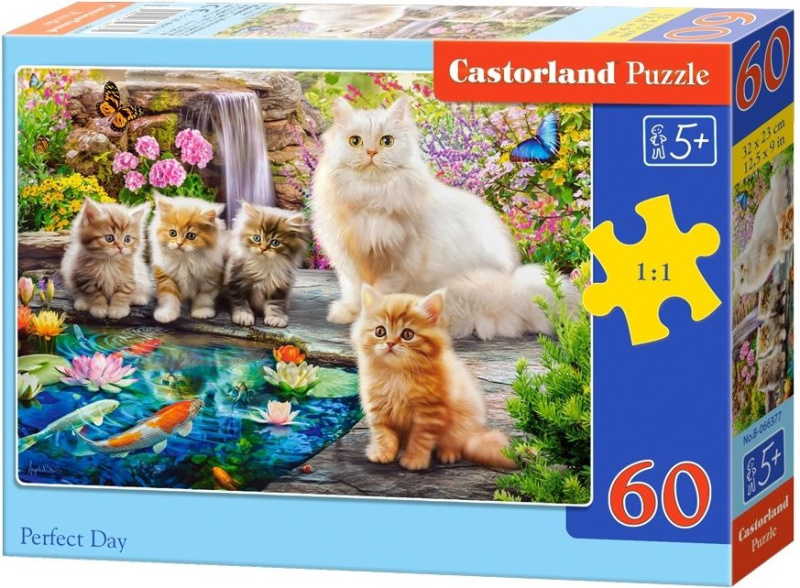 Castorland puzzle Perfektní den 60 dílků