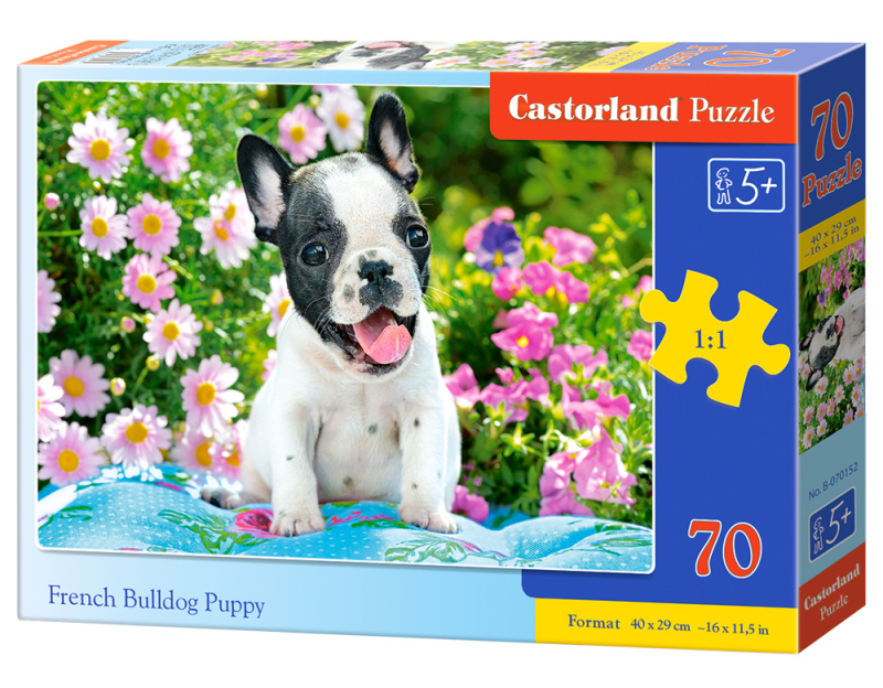 Puzzle štěně francouzského buldočka 70 dílků