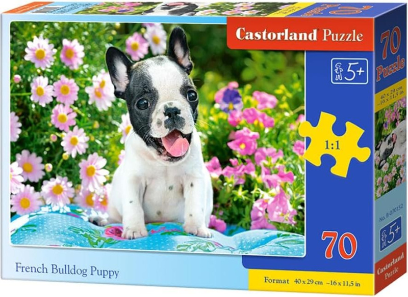 Puzzle štěně francouzského buldočka 70 dílků