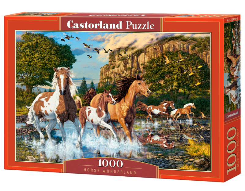 Castorland Koňská říše divů 1000 dílků