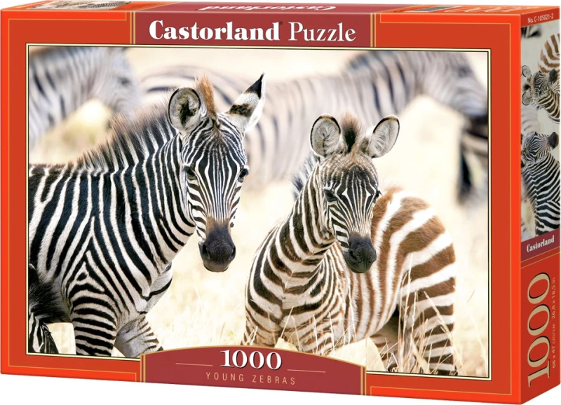 Castorland Mláďata zebry 1000 dílků