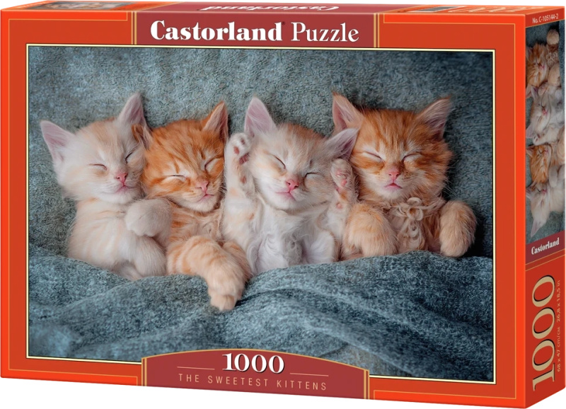 Castorland Nejsladší koťátka 1000 dílků
