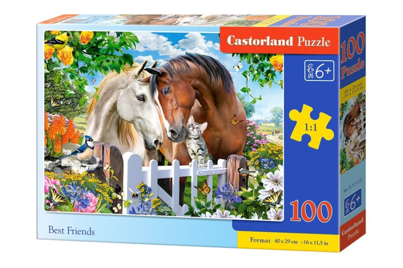 Castorland premium Nejlepší přátelé 111121 100 dílků