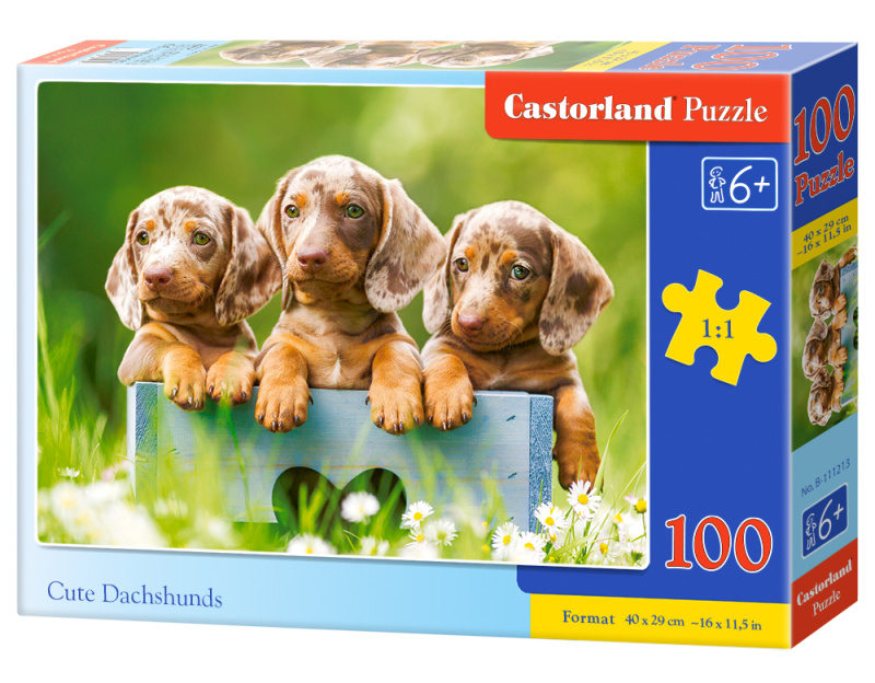 Castorland premium Roztomilí jezevčíci 100 dílků