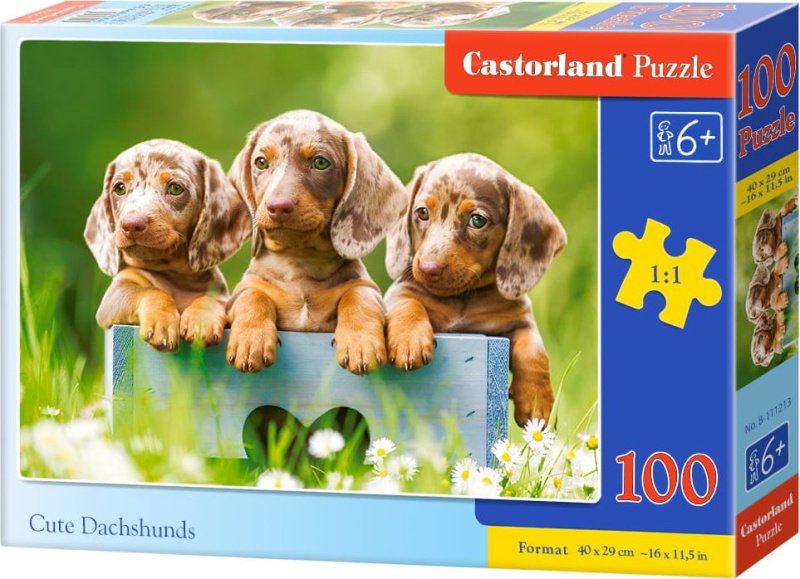 Castorland premium Roztomilí jezevčíci 100 dílků