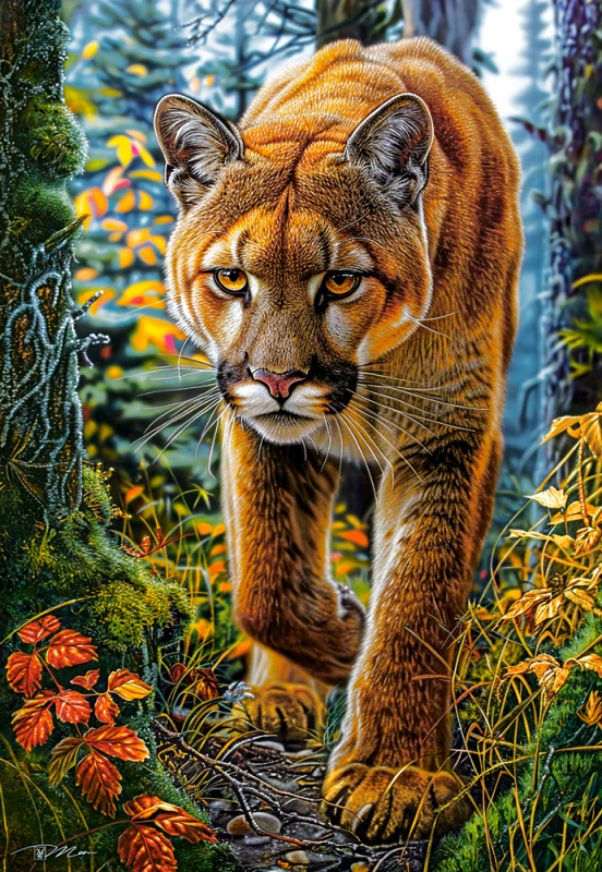 Castorland Puzzle Puma v Lese 1500 Dílů