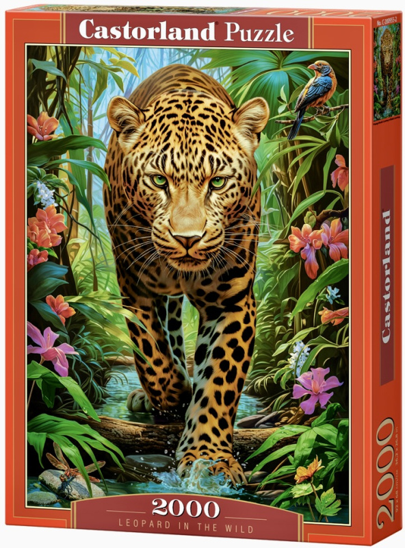 Castorland Leopard v divočině 2000 dílků