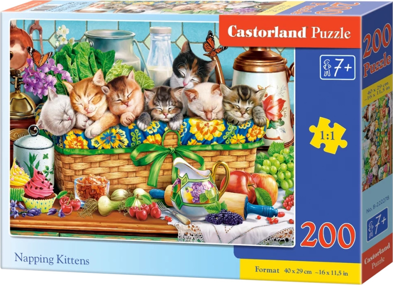 Puzzle dřímající koťata