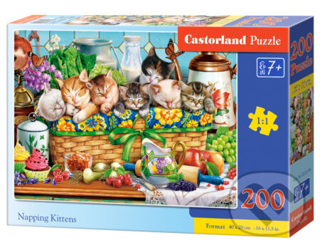 Puzzle dřímající koťata