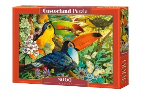 Castorland Barevní tukani 3000 dílků