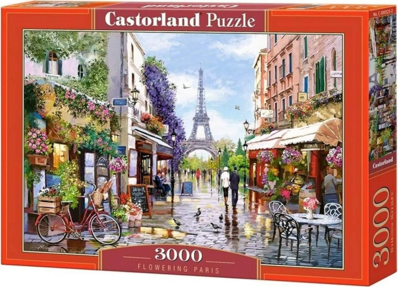 Puzzle 3000 dílků - Kvetoucí Paříž