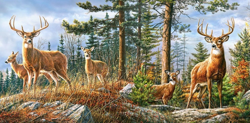 CASTORLAND Královská jelení rodina 4000 dílků