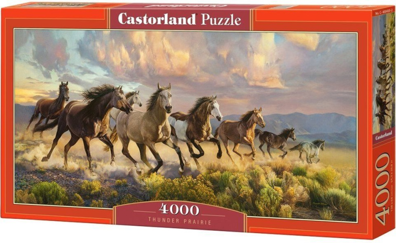 Castorland puzzle Hřmící prérie 4000 dílků