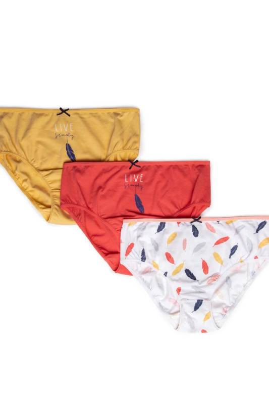 Dámské kalhotky BIKINI L-122BIB-38 3-pack směs barev XL