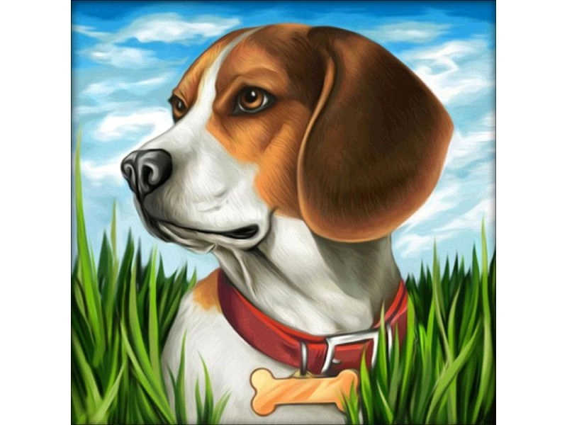 Diamantová mozaika (diamond painting) pes beagle 30 × 30 cm - 1 kus