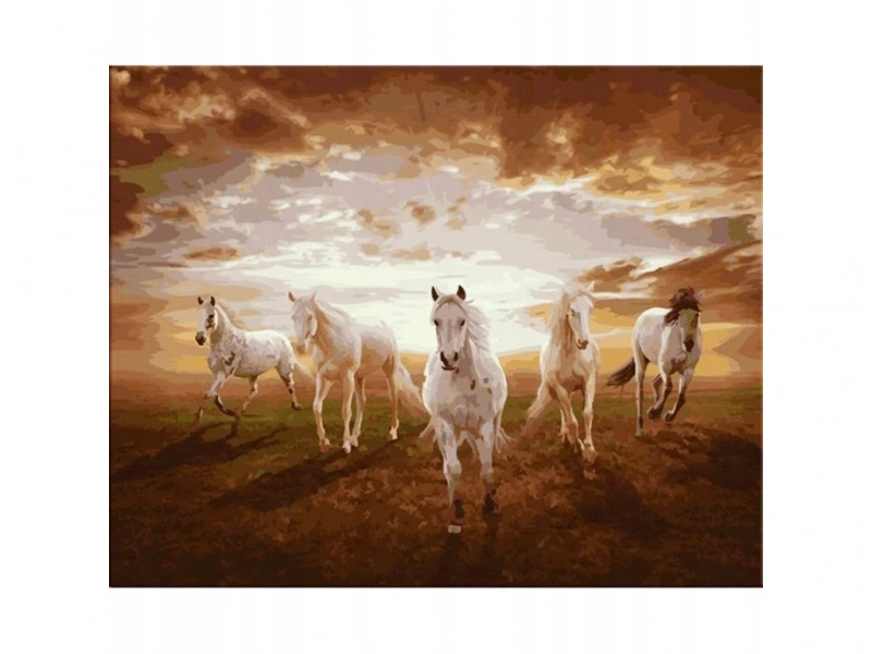 Obraz malování podle čísel v rámu 50 × 40 cm koně v galopu