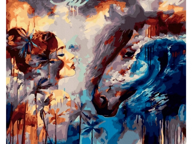 Malování podle čísel na plátně v rámu 50 × 40 cm pohled – žena a kůň