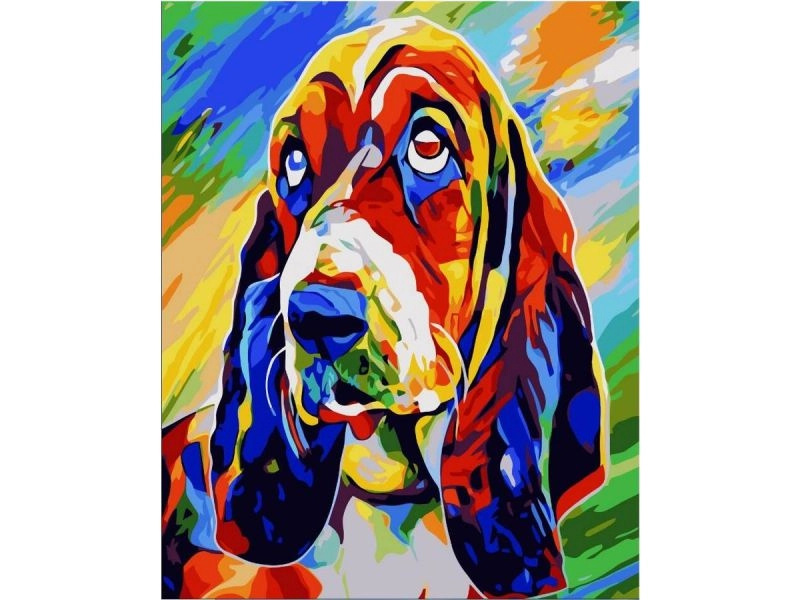 Obraz k malování podle čísel na rámu 40 × 50 cm – basset hound (barevný pes)