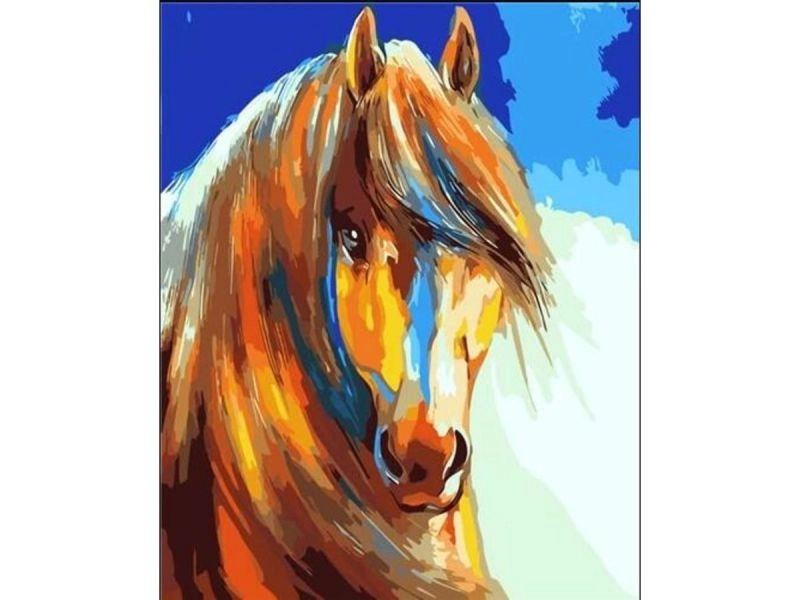 Obraz k malování podle čísel na rámu 40 × 50 cm – kůň v barvě