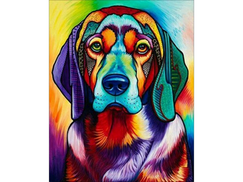 Malování podle čísel na plátně v rámu 40 × 50 cm – pes v barvě