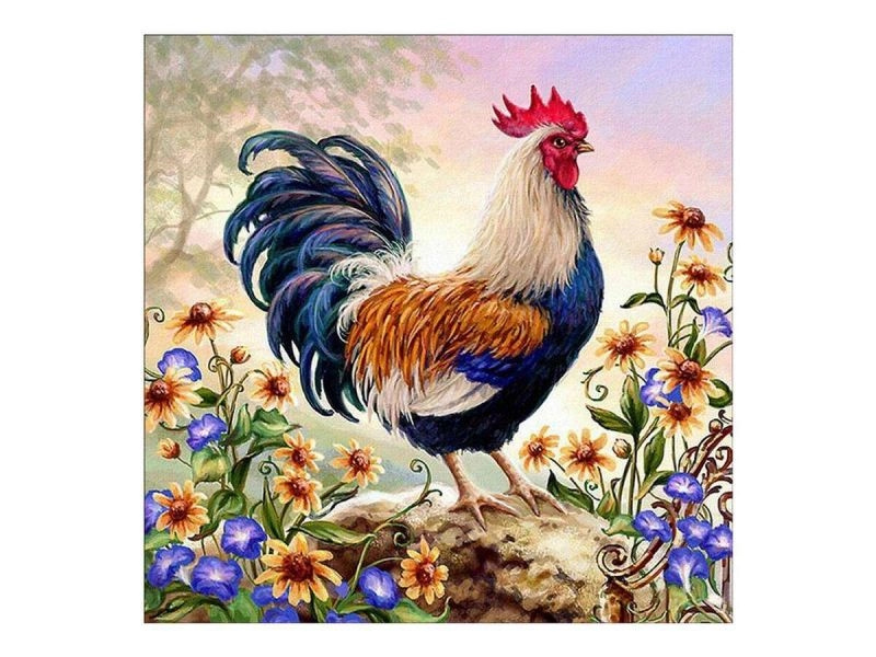 Diamantové vyšívání (diamond painting) barevný kohout 30 × 30 cm