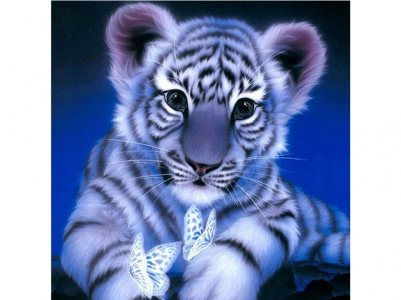 Diamantové malování – sněžný tygřík 30 × 30 cm