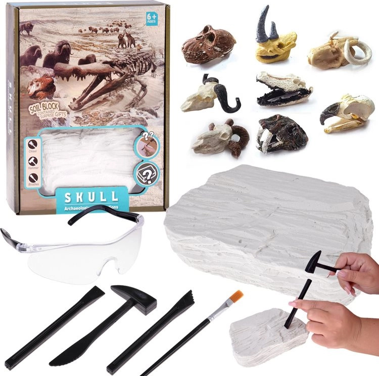 Archeologická sada s fosilní lebkou pro děti Jokomisiada