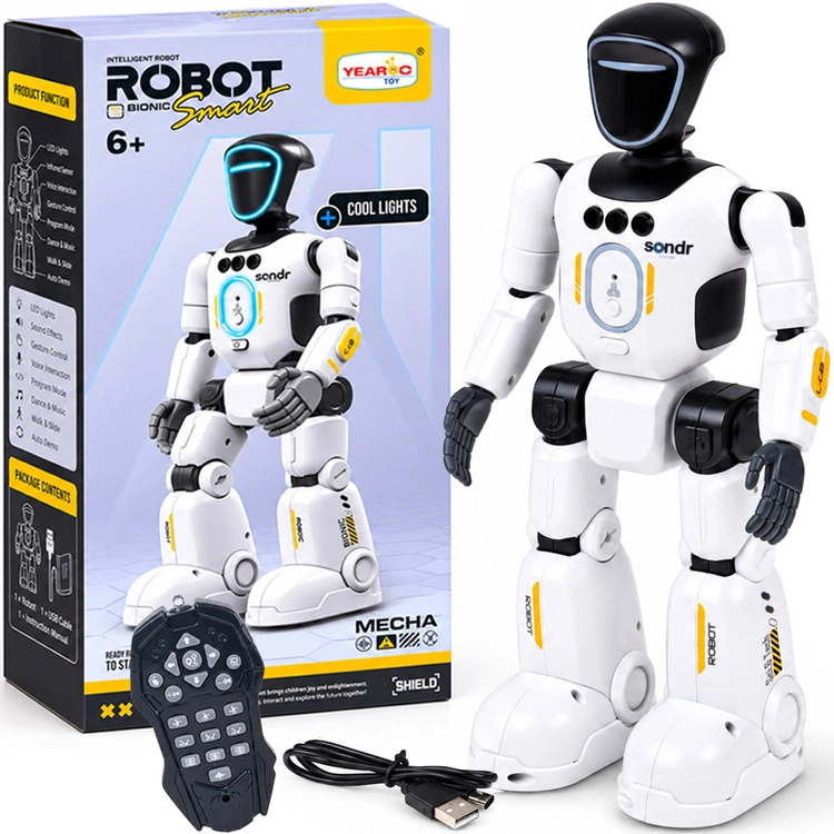 Interaktivní robot na dálkové ovládání a gesta Smart