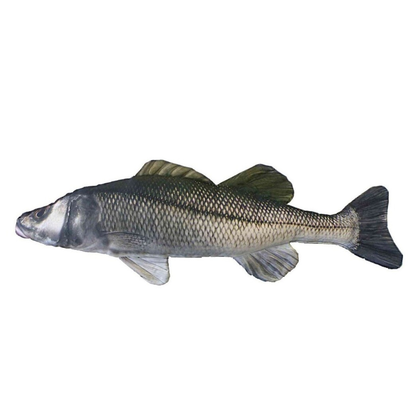Polštář Kanic 70 cm