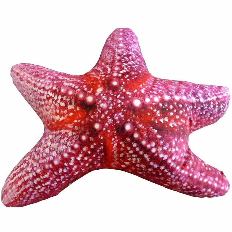 Polštář Hvězdice mořská 50 cm