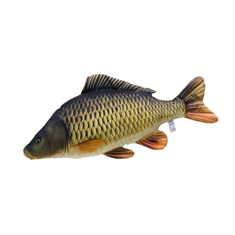 Kapr obecný - šupináč 64 cm