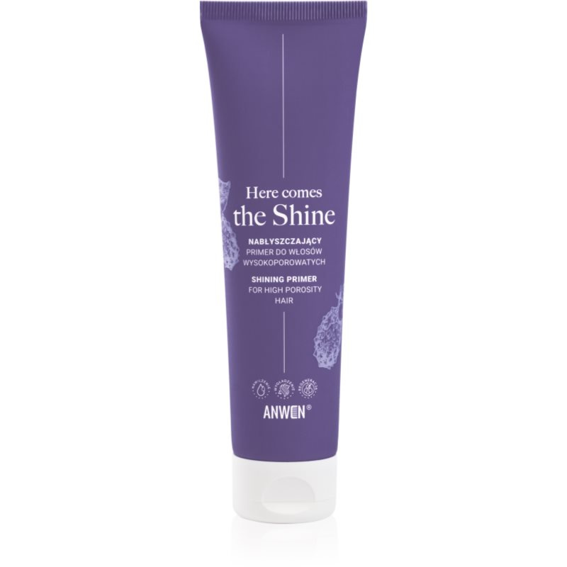Anwen Here Comes The Shine Shining Primer For High Porosity Hair podkladová báze na vlasy 100 ml