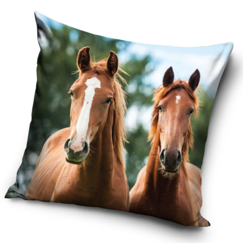 Carbotex Povlak na polštářek Koně Hnědáci