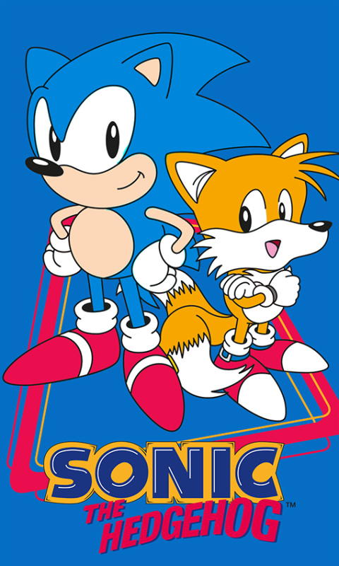 Carbotex Dětský ručník Ježek Sonic a Tails 30x50 cm - vyp