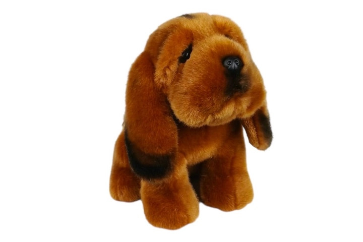 Plyšový pes svatého Huberta 19 cm