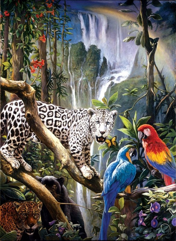 Diamantové malování – papoušci a panter 30 × 40 cm