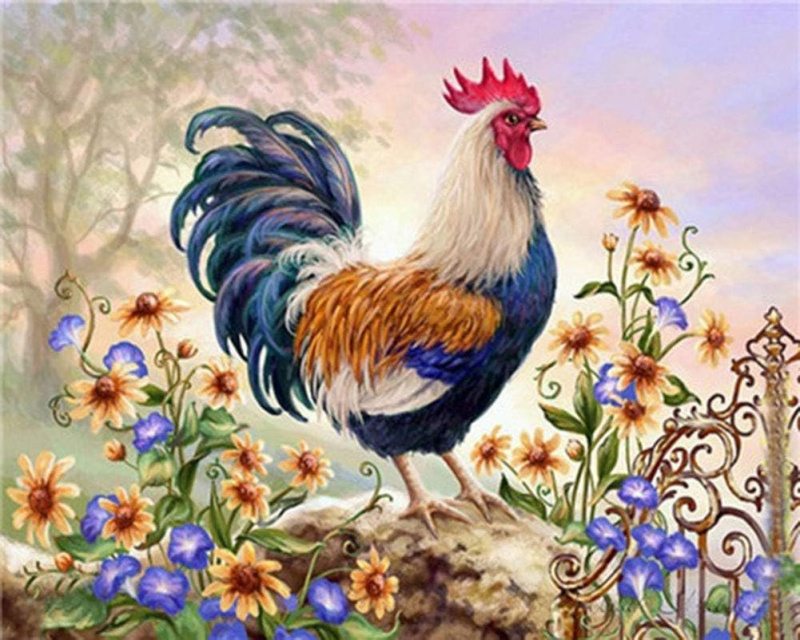 diamantové malování kohout 30 × 40 cm