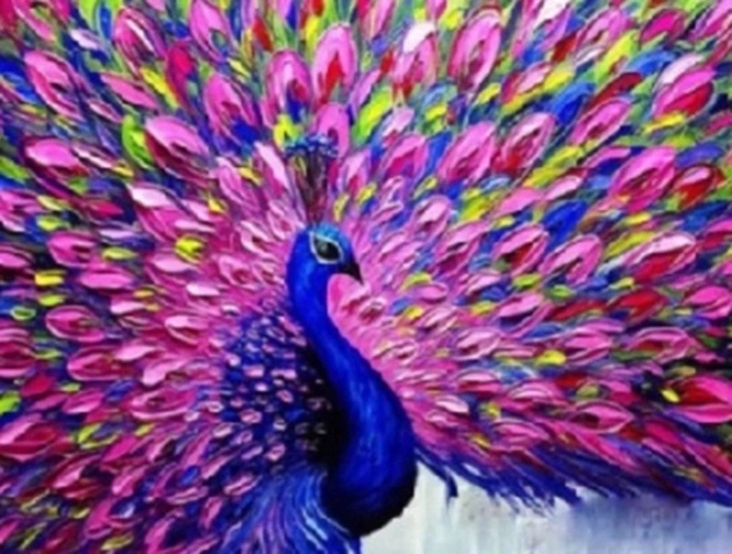 Norimpex Malování podle čísel páv s růžovým ocasem 40 × 50 cm