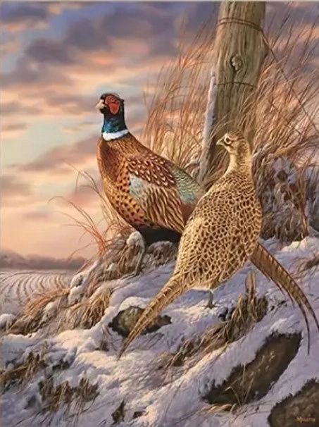 diamantové malování bažanti v zimě 30 × 40 cm