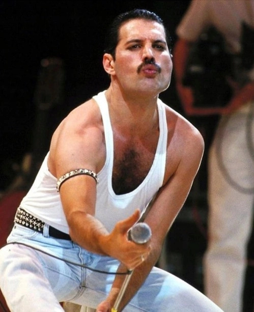 Diamantové malování Freddie Mercury 30x40 cm
