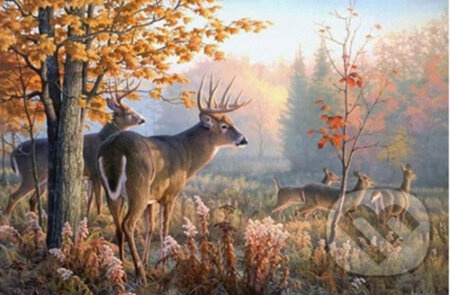 Norimpex Diamantové malování Jeleni v ranní mlze 30 x 40 cm