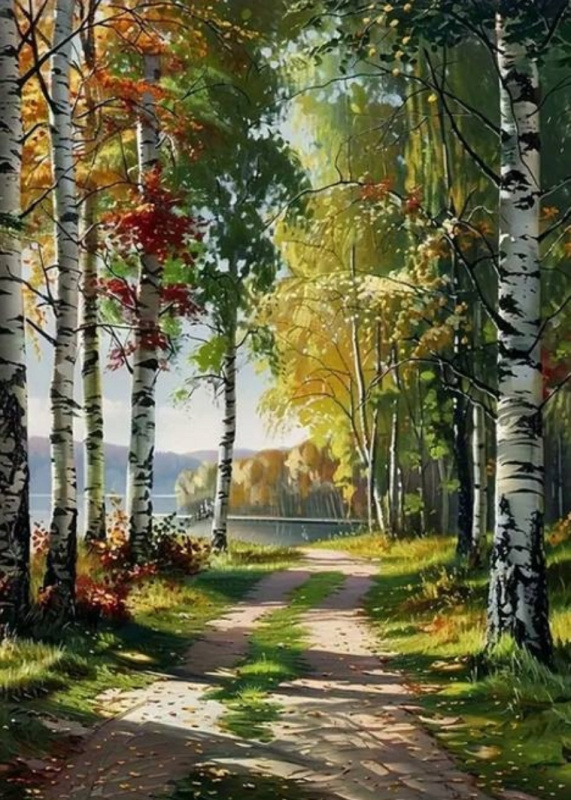 Norimpex diamantové malování cesta lesem u jezera 30 × 40 cm