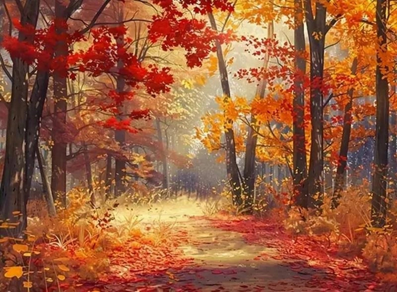 Diamantové malování – Les v barvách podzimu 30 × 40 cm