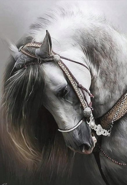 Diamantové malování – portrét bílého koně 30 × 40 cm
