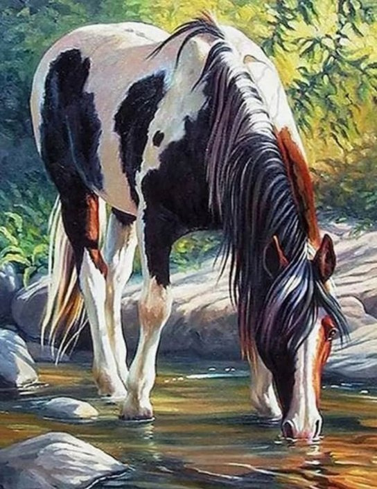 Diamantové malování Kůň v řece 30x40 cm