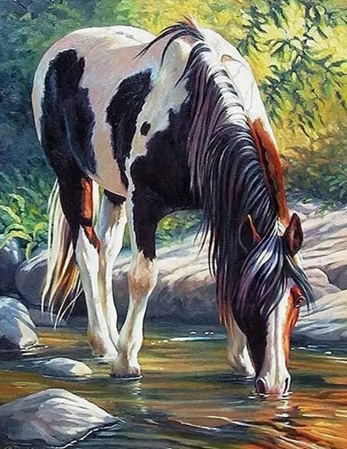 Diamantové malování Kůň v řece 30x40 cm