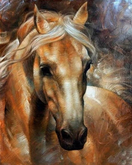 Norimpex malování podle čísel portrét koně 40 × 50 cm